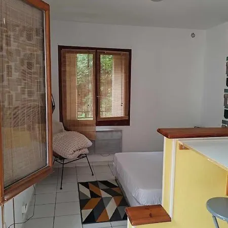 Or Rose Apartment Toulouse
